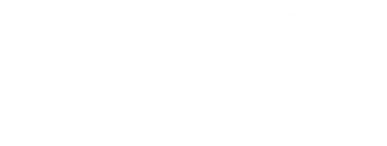 logo_blip_white.webp