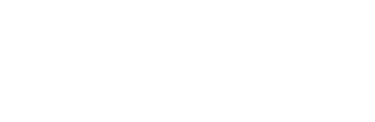 logo energisa white - NS - Cases